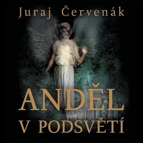 Detektívky, trilery, horory Tympanum Anděl v podsvětí