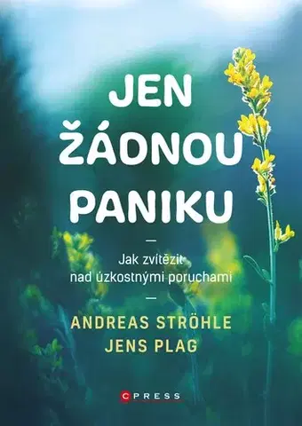 Psychológia, etika Jen žádnou paniku - Andreas Ströhle,Jens Plag,Alena Breuerová