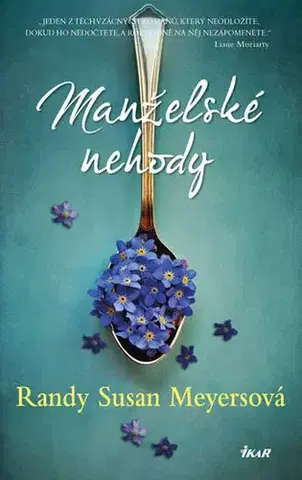 Svetová beletria Manželské nehody - Randy Susan Meyersová