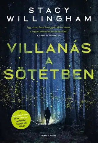Detektívky, trilery, horory Villanás a sötétben - Stacy Willingham