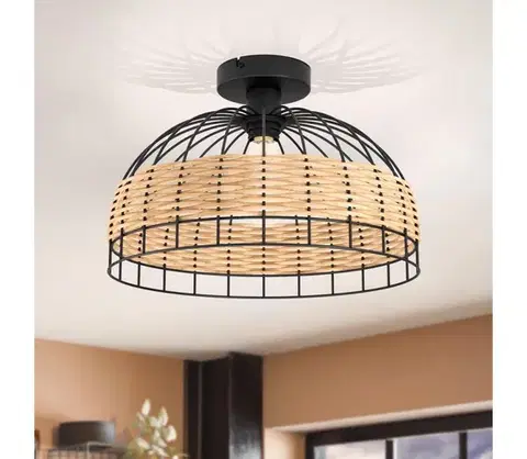 Svietidlá Eglo 43398 - Stropné svietidlo ANWICK 1xE27/60W/230V 43398