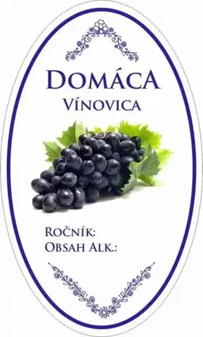 Samolepky na stenu Kinekus Samolepka domáca VÍNOVICA ovál fialová, 16ks etikiet