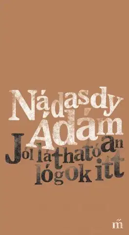 Svetová beletria Jól láthatóan lógok itt - Ádám Nádasdy