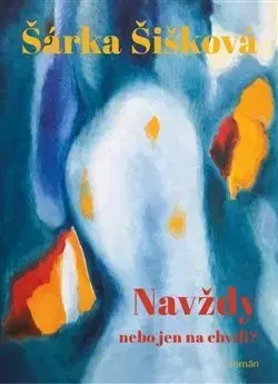 Česká beletria Navždy nebo jen na chvíli? - Šárka Šišková
