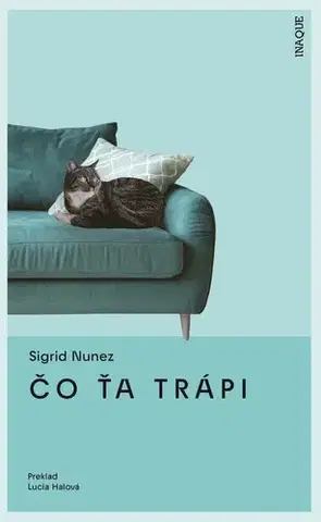 Svetová beletria Čo ťa trápi - Sigrid Nunez,Lucia Halová