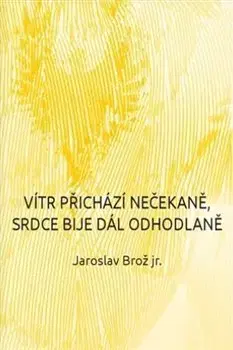 Česká poézia Vítr přichází nečekaně, srdce bije dál odhodlaně - Jaroslav Brož