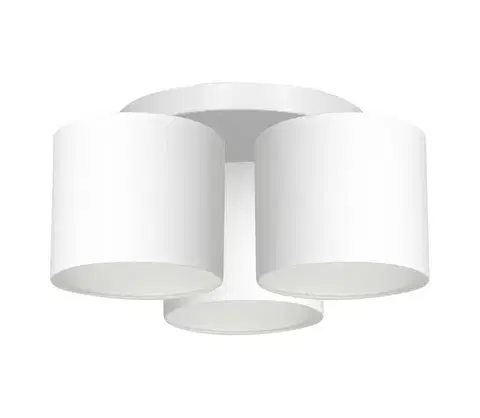Svietidlá  Luster prisadený ARDEN 3xE27/60W/230V biela 3424