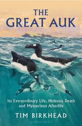 Vtáky, hydina The Great Auk - Tim Birkhead