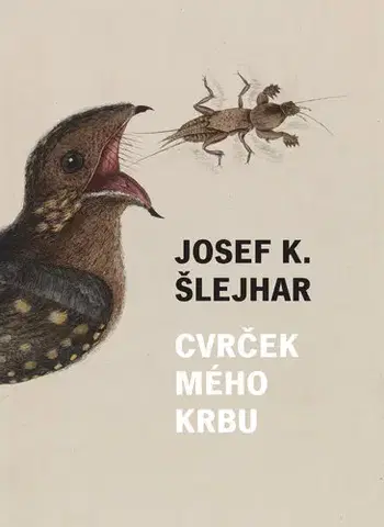Česká beletria Cvrček mého krbu - Josef Karel Šlejhar