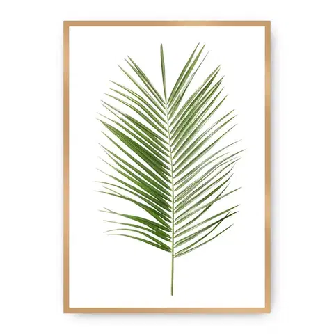Obrazy Plagát Palm Leaf Green