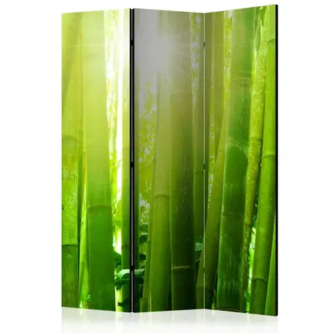 Paravány Paraván Sun and bamboo Dekorhome