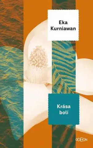 Svetová beletria Krása bolí - Eka Kurniawan,Vladislav Gális