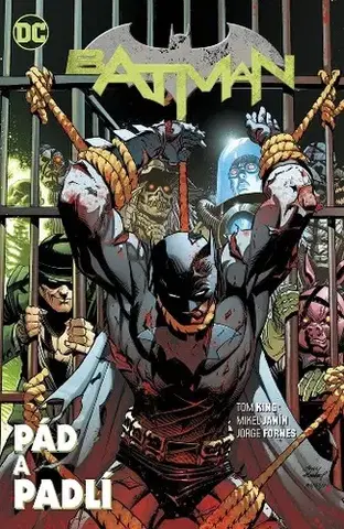 Komiksy Batman. Pád a padlí - Tom King