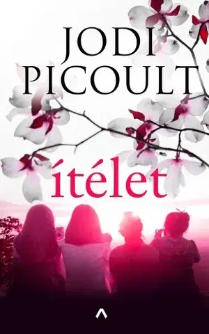 Svetová beletria Ítélet - Jodi Picoult