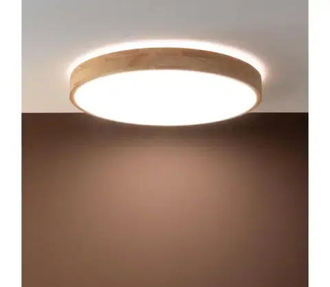Svietidlá Brilliant - LED stmievané stropné svietidlo SLIMLINE LED/60W/230V + diaľkové ovládanie G97068/75