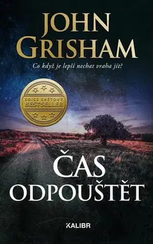 Detektívky, trilery, horory Čas odpouštět - John Grisham,Ivan Ryčovský