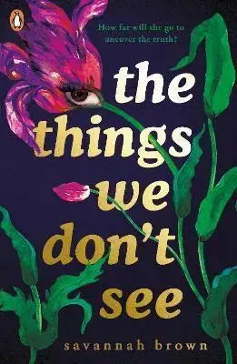 Young adults The Things We Dont See - Savannah Brown