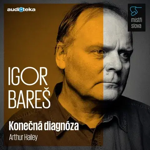 Pre deti a mládež Bookmedia a Audiotéka Konečná diagnóza - Mistři slova