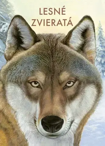 Príroda Lesné zvieratá - Holger Haag,Manfred Rohrbeck,Veronika Lašová