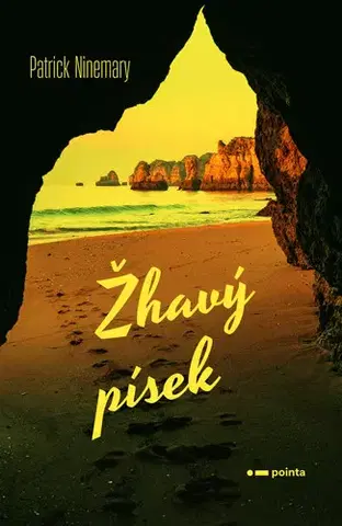 Romantická beletria Žhavý písek - Patrick Ninemary