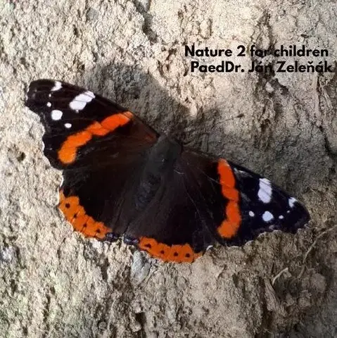 Encyklopédie pre deti a mládež - ostatné Nature for children, part 2 - János Zelenák