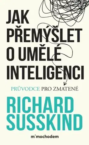Veda, technika, elektrotechnika Jak přemýšlet o umělé inteligenci - Richard Susskind,Lenka Strnadová