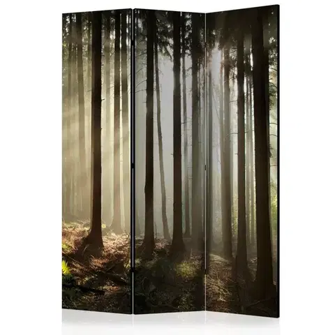Paravány Paraván Coniferous forest Dekorhome