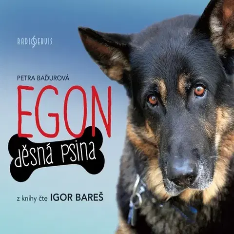Novely, poviedky, antológie Radioservis EGON: Děsná psina