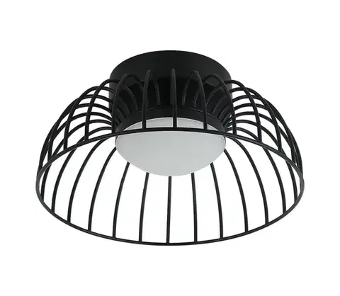 Svietidlá  LED stropné svietidlo BETSY LED/12W/230V pr. 25 cm čierne LM-1.280/CZARNY