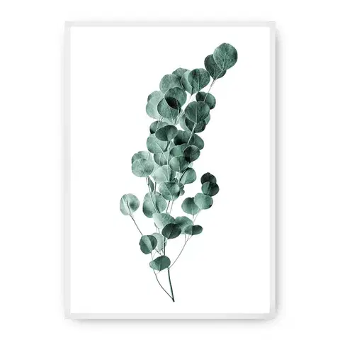 Obrazy Plagát Eucalyptus Emerald Green