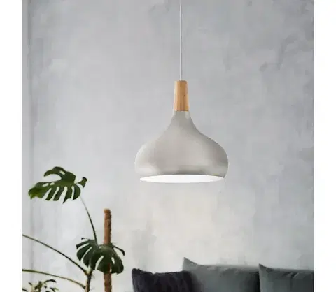 Svietidlá Eglo 901181-Luster na lanku SABINAR 1xE27/60W/230V pr.28cm strieborný 901181