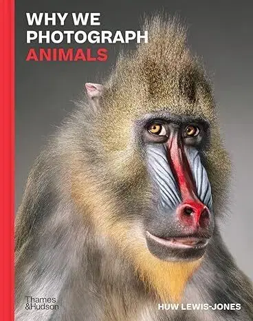Fotografia Why We Photograph Animals - Huw Lewis-Jones