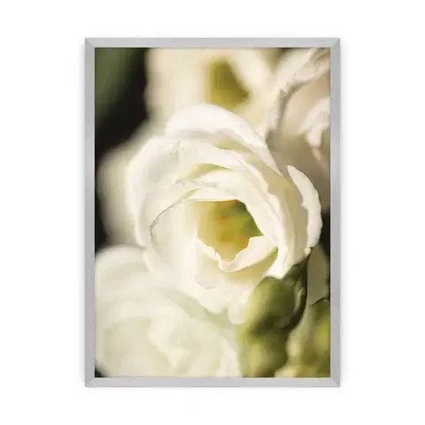 Obrazy Plagát Flower Wall