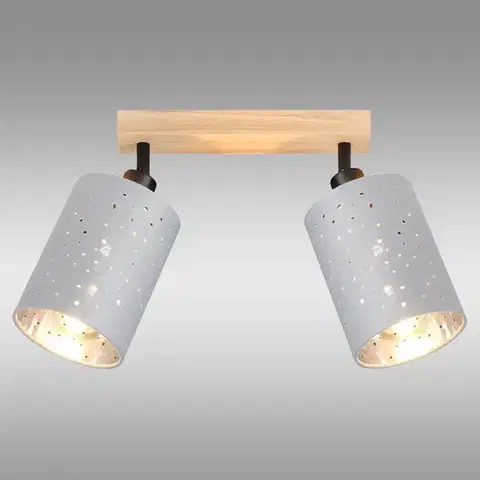 Lampy do obývačky Stropné svietidlo  DAFNE AS-DAE142BR LS2