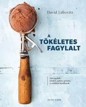 Sladká kuchyňa A tökéletes fagylalt - David Lebovitz