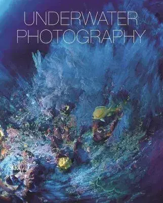 Fotografia Underwater photography - Vincenzo Paolillo