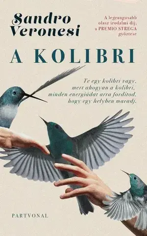 Svetová beletria A kolibri - Sandro Veronesi