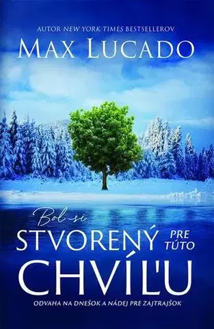 Duchovný rozvoj Bol si stvorený pre túto chvíľu - Max Lucado