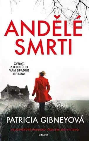 Detektívky, trilery, horory Andělé smrti - Patricia Gibneyová