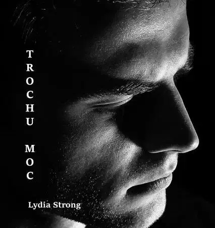 Romantická beletria Trochu moc - Lydia Strong