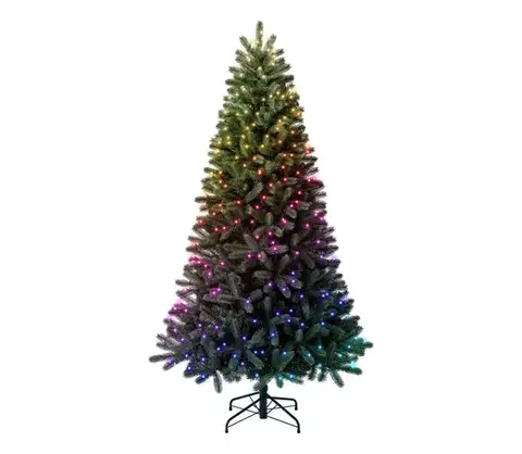 Vianočné dekorácie Twinkly TG70P4425P01 - LED RGBW vianočný stromček TREE 435×LED 2,1 m Wi-Fi TG70P4425P01