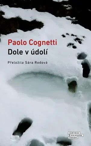 Romantická beletria Dole v údolí - Paolo Cognetti