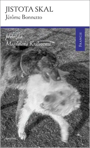 Svetová beletria Jistota skal - Jérôme Bonnetto
