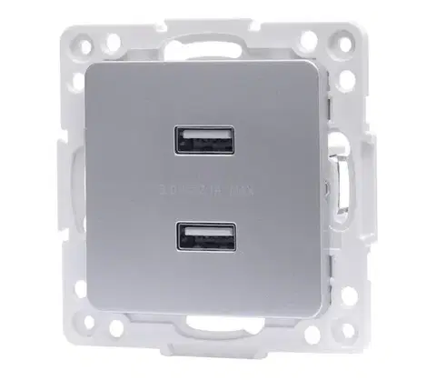 Predlžovacie káble  B.V.  - USB napájacia zásuvka bez rámčeka 2x USB-A strieborná B20101QSE