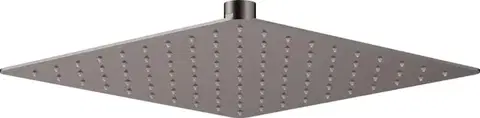 Kúpeľňové batérie DEANTE - Cascada titán Sprchová hlavica, oceľ - 250x250 mm NAC_D02K