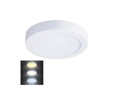 Svietidlá  WD170 - LED stropné svietidlo LED/12W/230V 3000/4000/6000K pr. 17 cm biela WD170