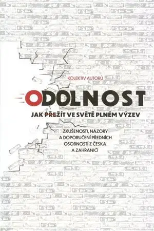 Rozvoj osobnosti Odolnost - Kolektív autorov