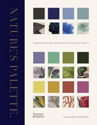 Maliarstvo, grafika Natures Palette - Patrick Baty,Peter Davidson