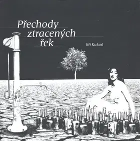 Svetová beletria Přechody ztracených řek - Jiří Kukaň,David Faigl
