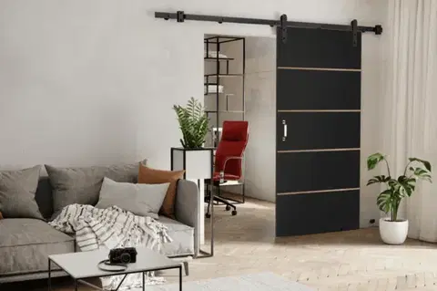 Posuvné dvere KIER Posuvné dvere LORNI PLUS | 70 cm Farba: Čierna